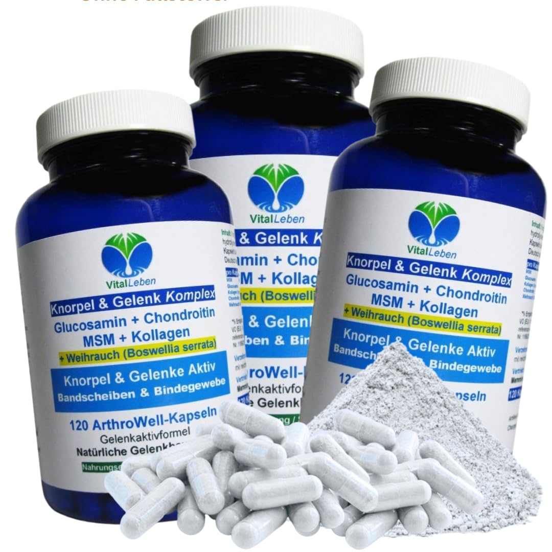 Knorpelaufbau KNORPEL & GELENKE Komplex 360 (3x120) Kapseln - ArthroWell TOP-5 Gelenkbausteine Gelenkkapseln mit Glucosamin, Chondroitin, MSM, Kollagen, Weihrauch. OHNE ZUSATZSTOFFE 26444-3