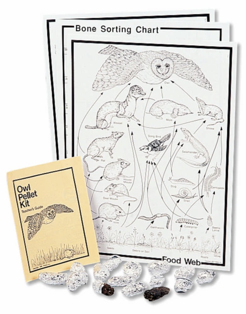 Barn Owl Pellet Classroom Kit