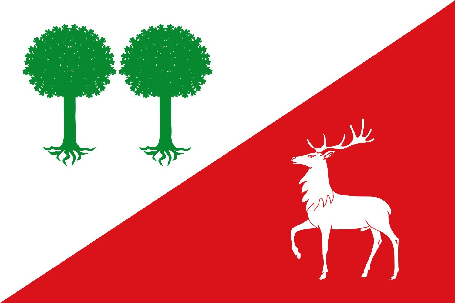 Drapeau Robleda-Cervantes anti-déchirure grand format pour extérieur