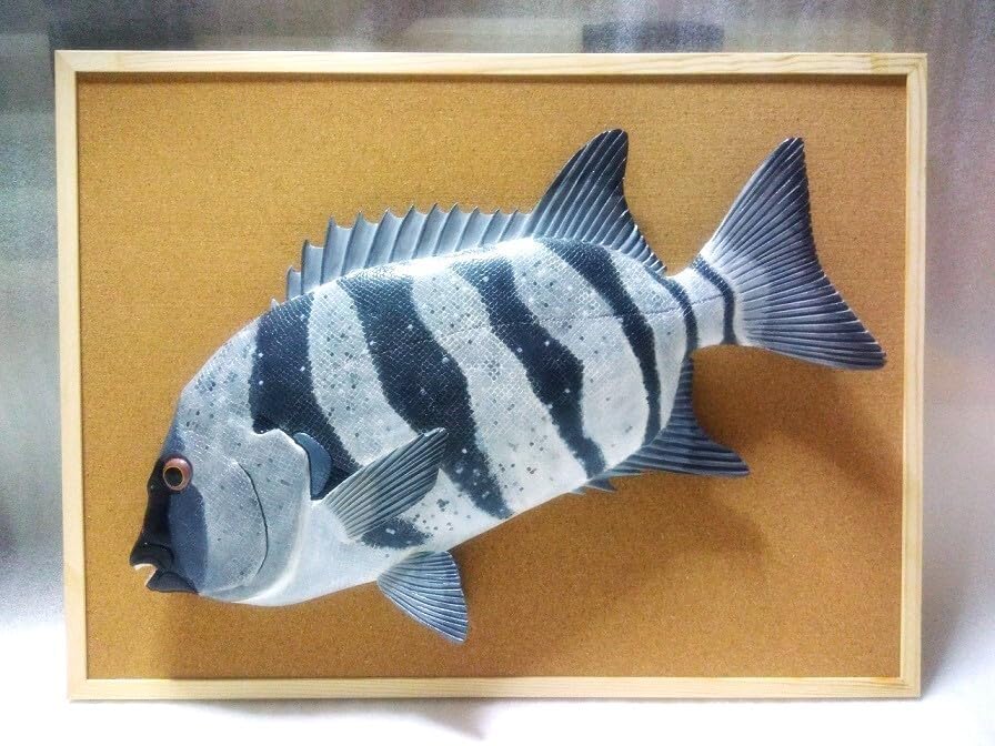立体魚拓 イシダイ 石鯛 立体魚拓 イシダイ 石鯛 【公式通販】