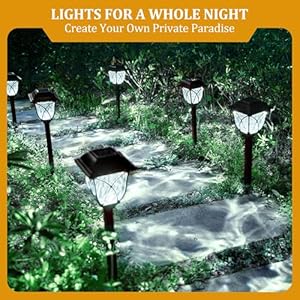 GIGALUMI Solar Lights Outdoor Waterproof, 8 Pack LED Solar Garden Lights, Solar Lights for Outside, Garden Decor for Yard, Patio, Landscape, Planter, Walkway (Cold White) GIGALUMI Solar Lights Outdoor Waterproof 8 Pack LED Solar Garden Lights Solar Lights for Outside Garden Decor for Yard Patio Landscape Planter Walkway Cold White