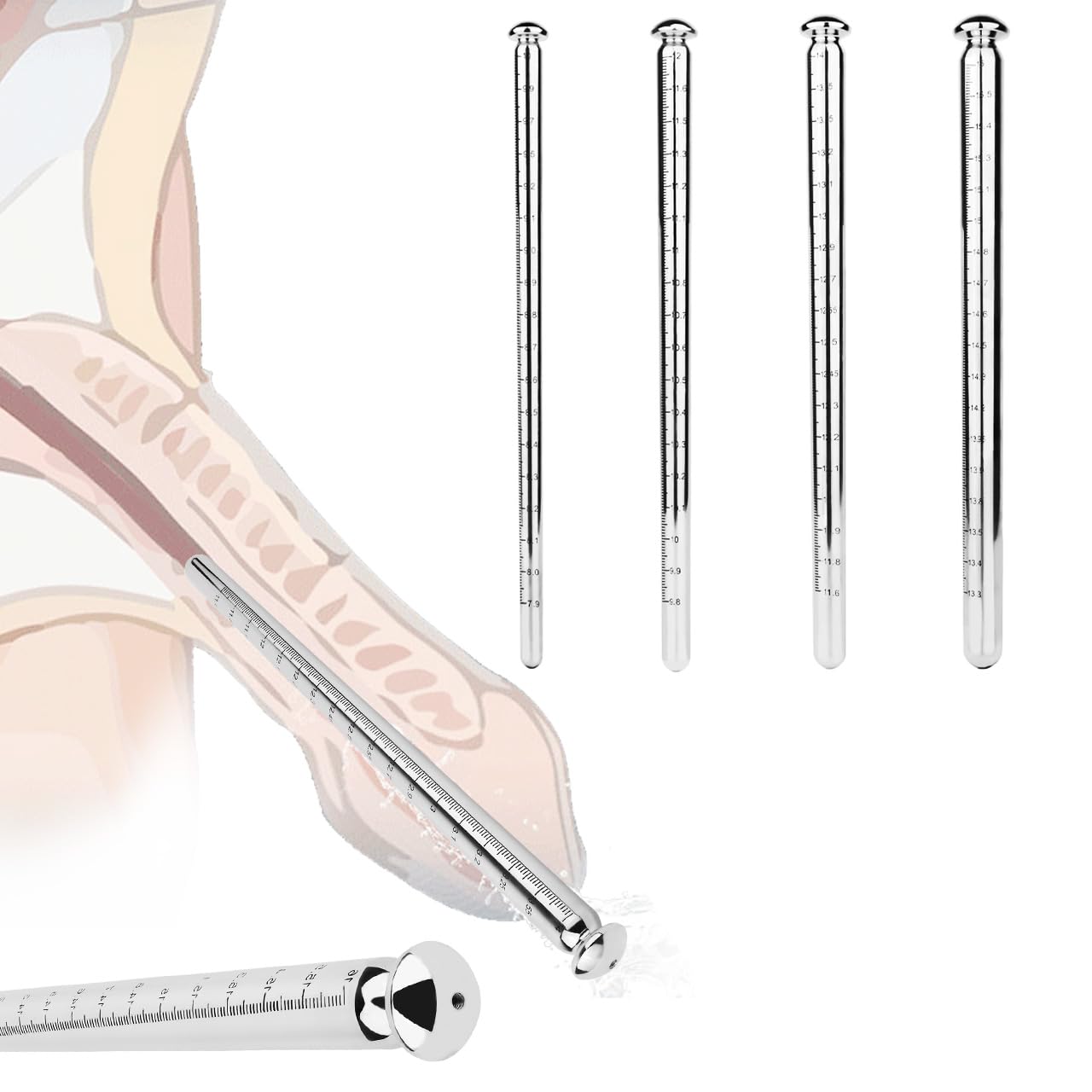 Dilatatoren für Männer, Dilator aus 304 Edelstahl mit Skala, S+M+L+XL