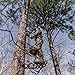 Summit Treestands OpenShot SD Climbing Treestand, Mossy Oak