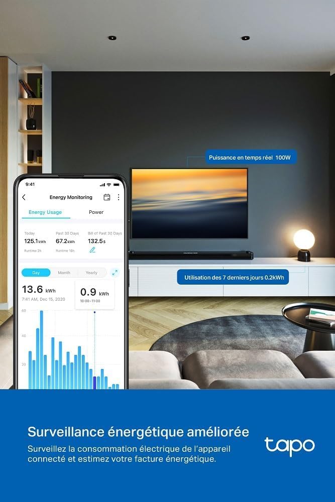 Tapo P110M Prise Connectée WiFi 16A Type E Suivi Consommation Compatible Alexa Google Home SmartThings 2-pack
