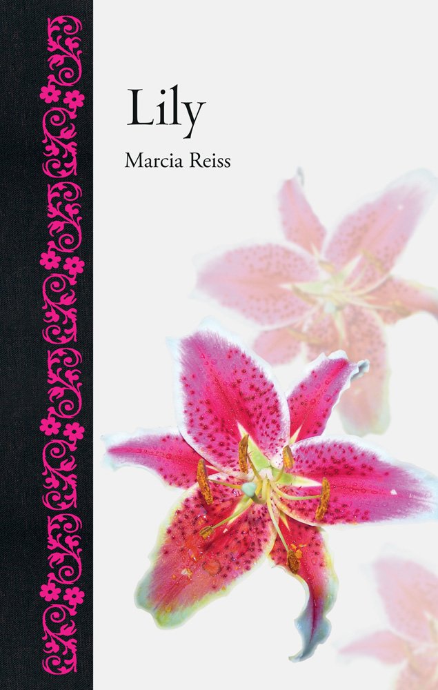 Lily (Botanical)