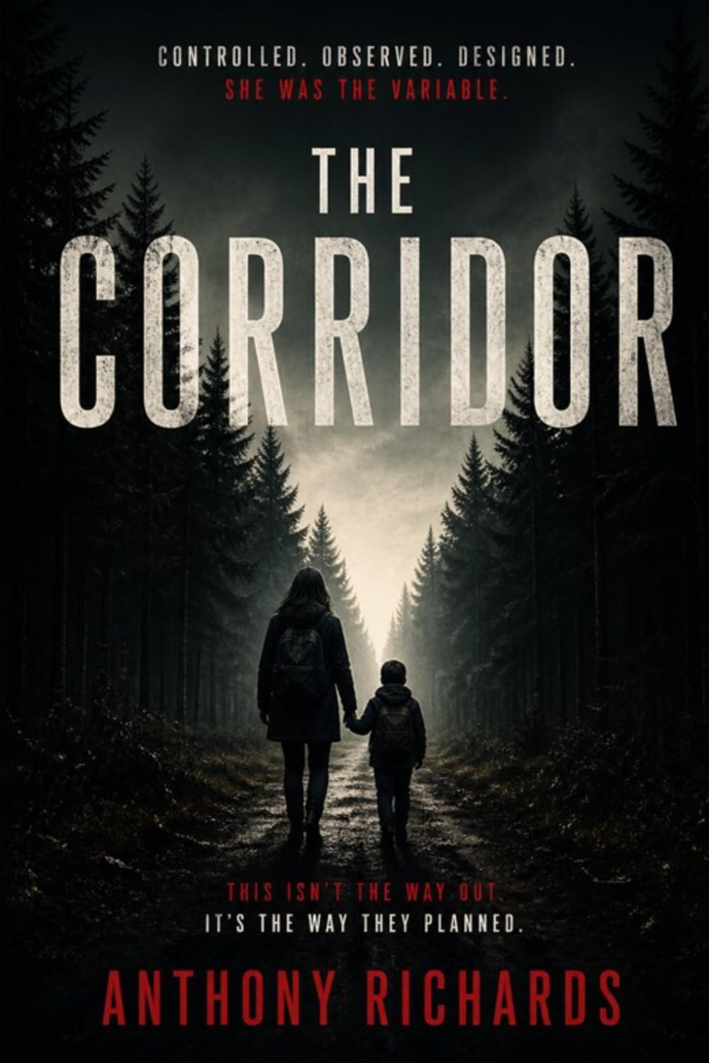 The Corridor (Civil War of 2038)