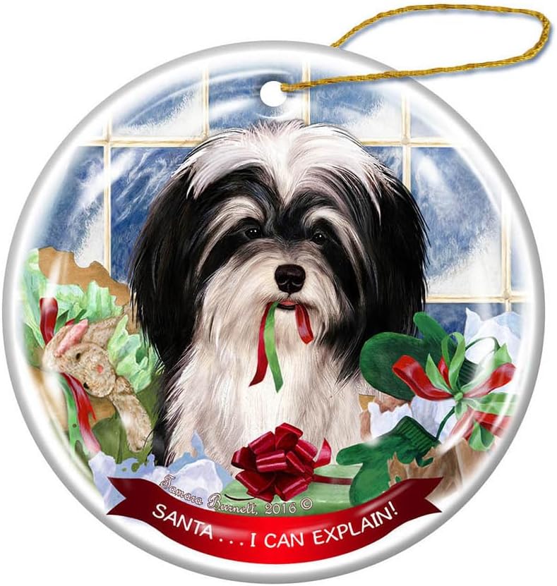 Havanese, Black & White Dog Porcelain Ornament Pet Gift 'Santa.. I Can Explain!