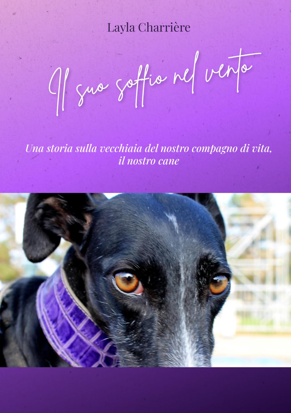Il suo soffio nel vento: Una storia sulla vecchiaia del nostro compagno di vita, il nostro cane.
