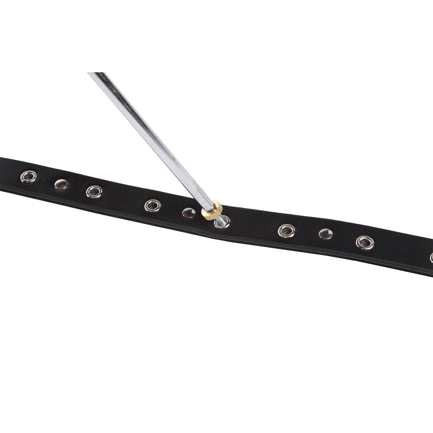 Pacato Cello Stachelanker, Instrumentenabdeckung, Zeder, Lackiert, Schwarz, 78 Gramm