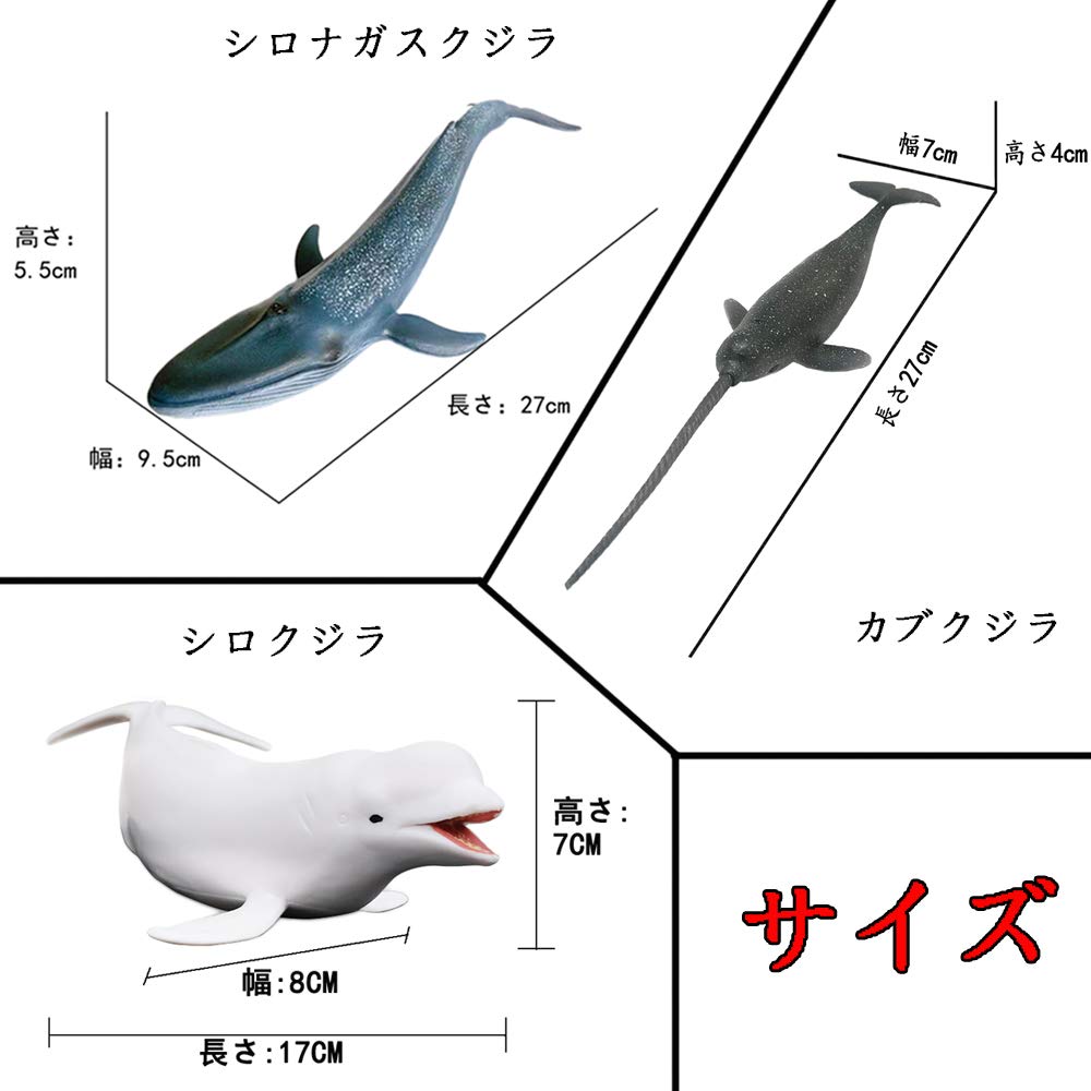 Amazon | 海洋動物 人工 水族館 飾り 装飾 シロナガスクジラ モデル 白