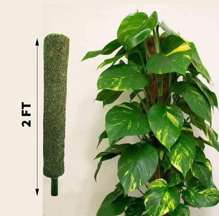 moss stick sw58 CATTAILS Moss Stick - Green Grass Pole for Plant