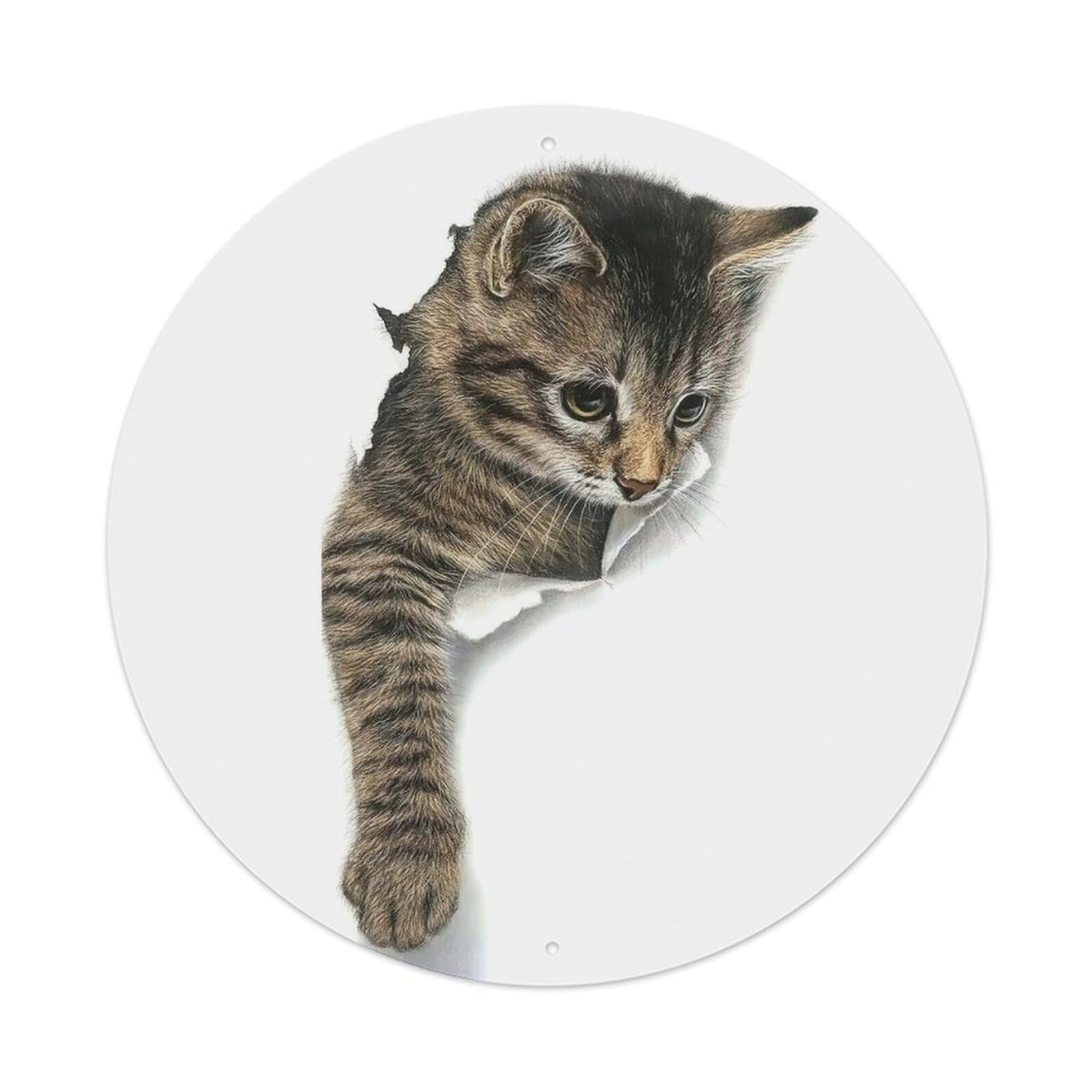 Cute Kitten Cat Wildlife Portrait Photography Metal Tin Sign