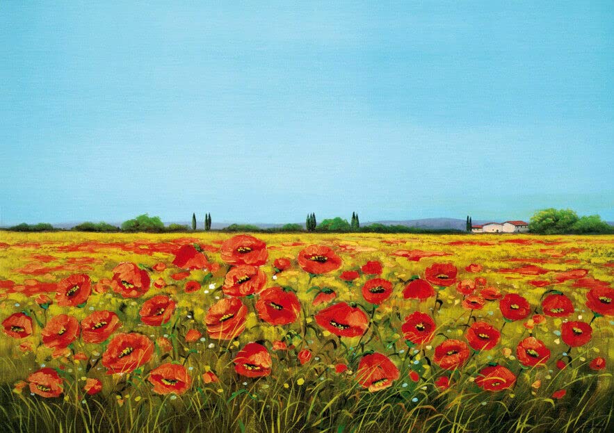 Lnxp - Dipinto bellissimo dipinto con papaveri, 56 x 46 cm, motivo Lnxp - Dipinto bellissimo dipinto con papaveri, 56 x 46 cm, motivo