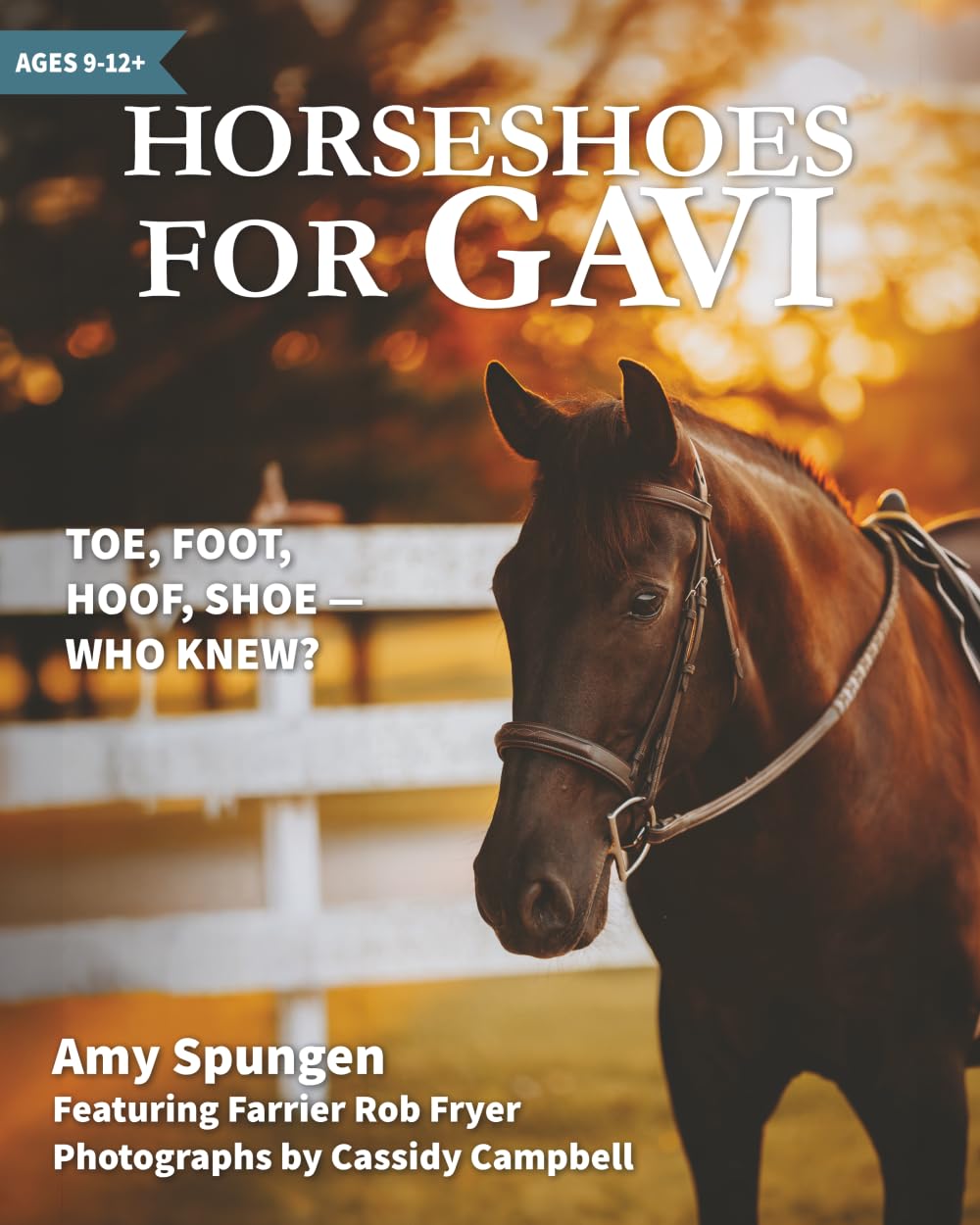 Horseshoes for Gavi: Toe, Foot, Hoof, Shoe — Who Knew?
