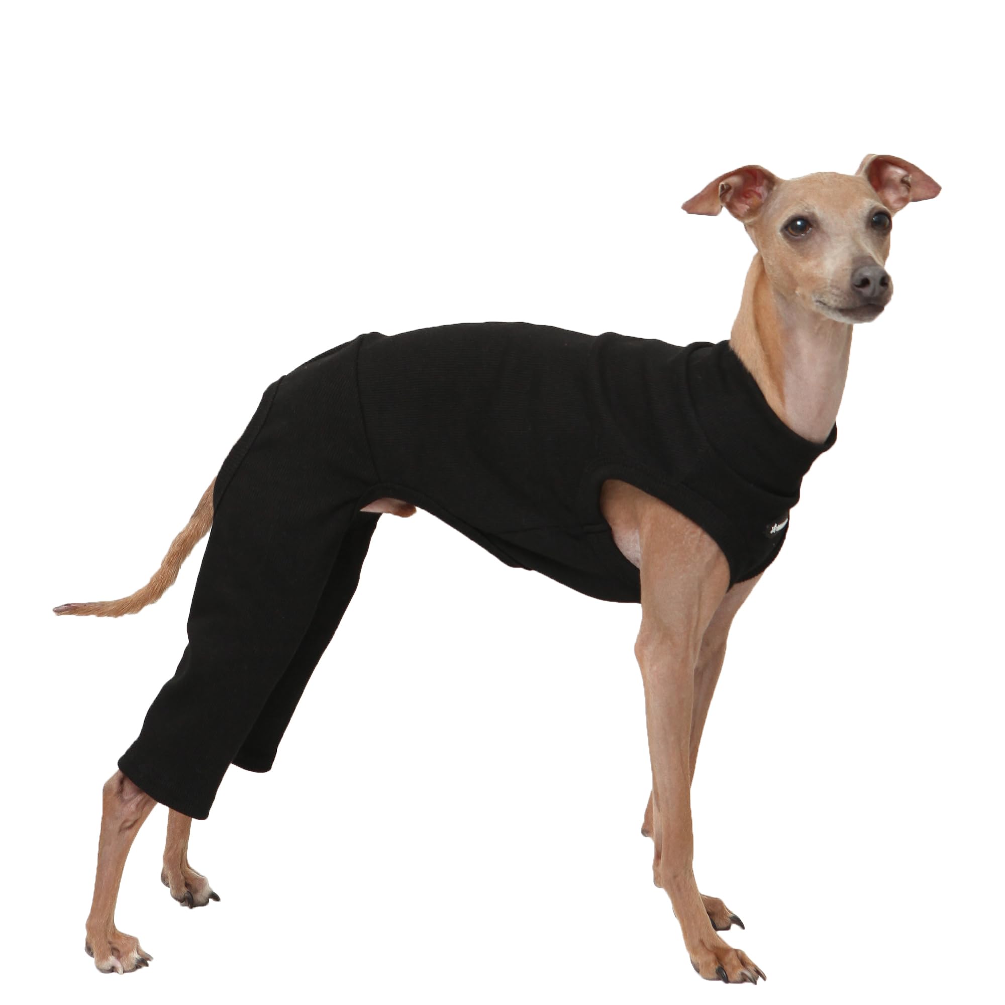 D Doggy Star Italian Greyhound Clothes High-Strech Sleeveless Onesie for Styling (XL,Coordi Black) โ image 1