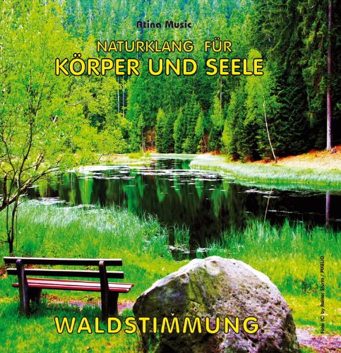 Waldstimmung (ohne Musik) - Naturklänge für Körper und Seele - Naturgeräusche für Entspannung Meditation und Wellness