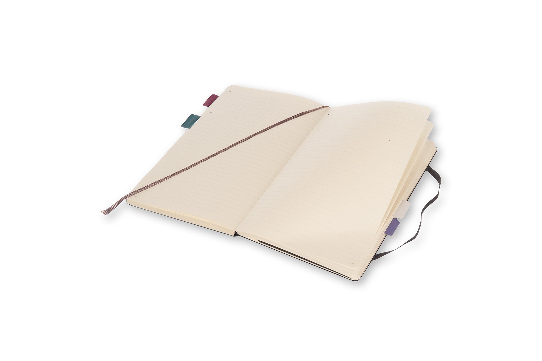 Moleskine Pro Collection Professional Notebook, Large, Noir, Couverture souple (13,3 x 21,3cm)