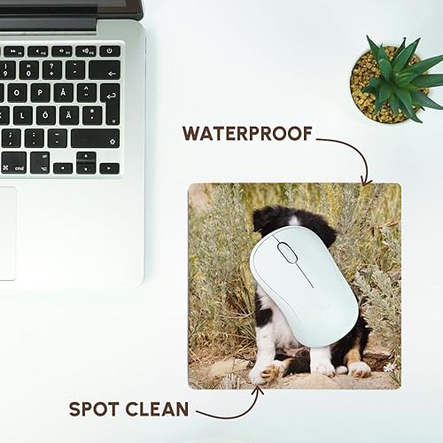 Miniatura 7 de 3dRose Border Collie Puppy Dog Na02 Pwo0040 Piperanne Worcester Mouse Pad (mp_140297_1)