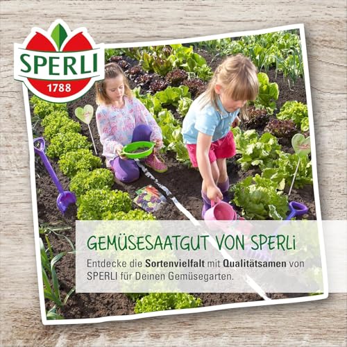 Sperli Nansen’s Noordpool Wintersalat Samen Winterhart | Bewährte Sorte | Wintergemüse Saatgut | Frühjahr u. Herbst | Wintergemüse Samen | Salat Samen