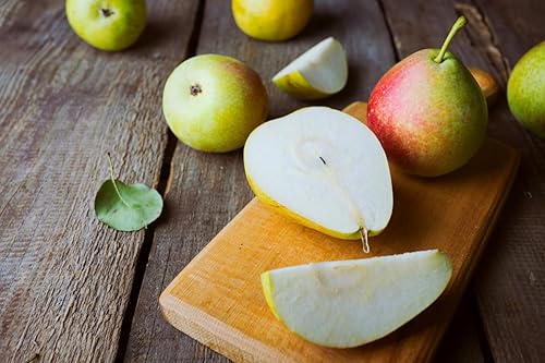 Miniatura 4 de Kieffer - Planta viva de pera, árbol de planta de pera viva, de 4 a 5 pies de alto, planta viva de pera, planta de fruta dulce, planta de peral, no