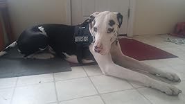 Review Image by Sarah Sarah