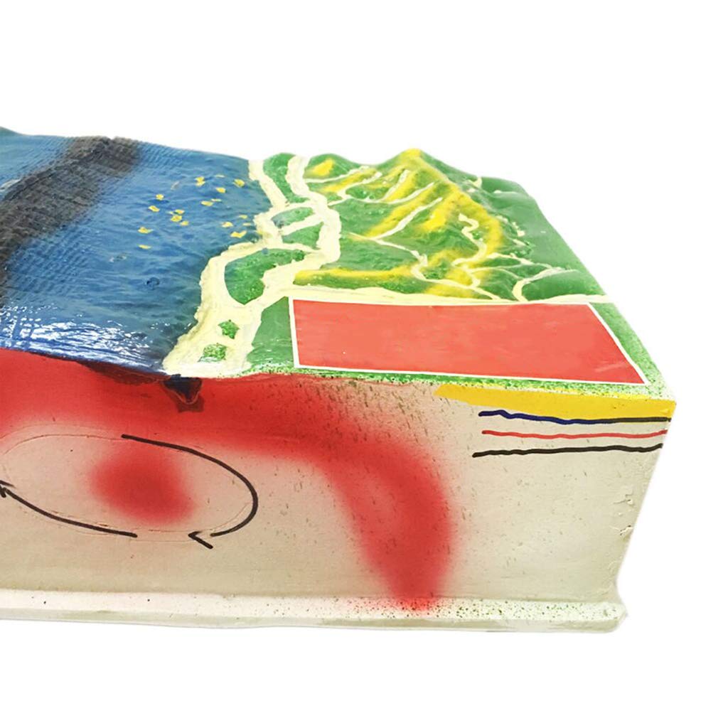 Model 3D Płyty Tektonicznej Ziemi - Geografia Model Nauczania Edukacyjnego - Materiał Żywiczny Szkoła Zajęć Z Geologii Pomoce Dydaktyczne Do Zajęć Z Geologii Sprzęt Do Na