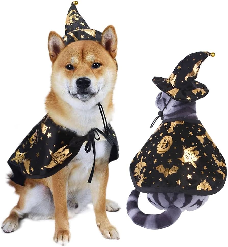 RIOSTUDIO リオスタジオ ハロウィン コスプレ いぬ 仮装 変装 犬 コスチューム 魔女 カボチャ犬用 帽子 マント ハット ポンチョ ケープ ワンコ服 小型犬 中型犬 ドッグウェア ペットウェア 猫服 可愛い(ブラックハット+マントセット,M)