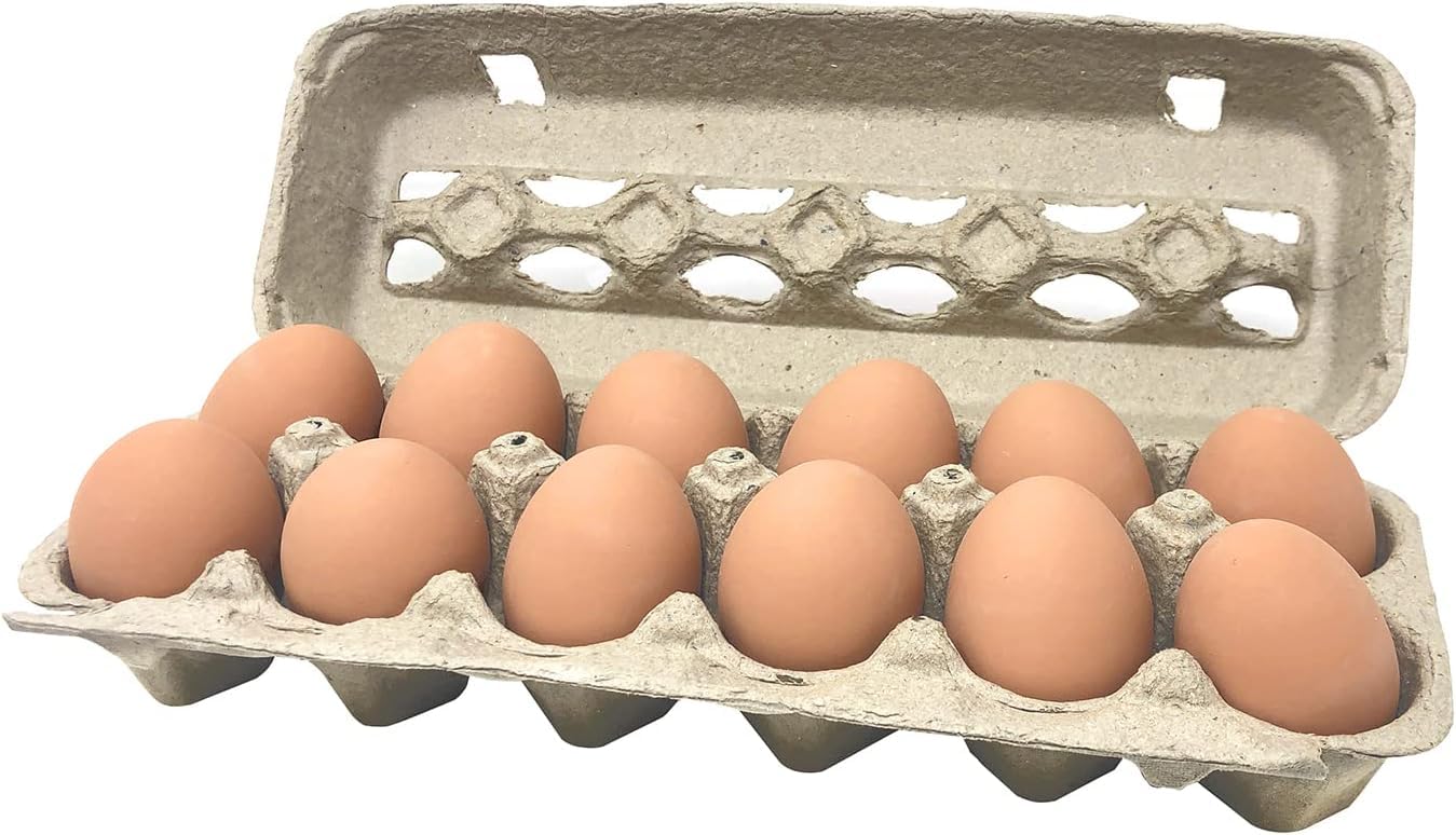 Pecking Order Cajas de huevos de pulpa de papel ventiladas, paquete de 50