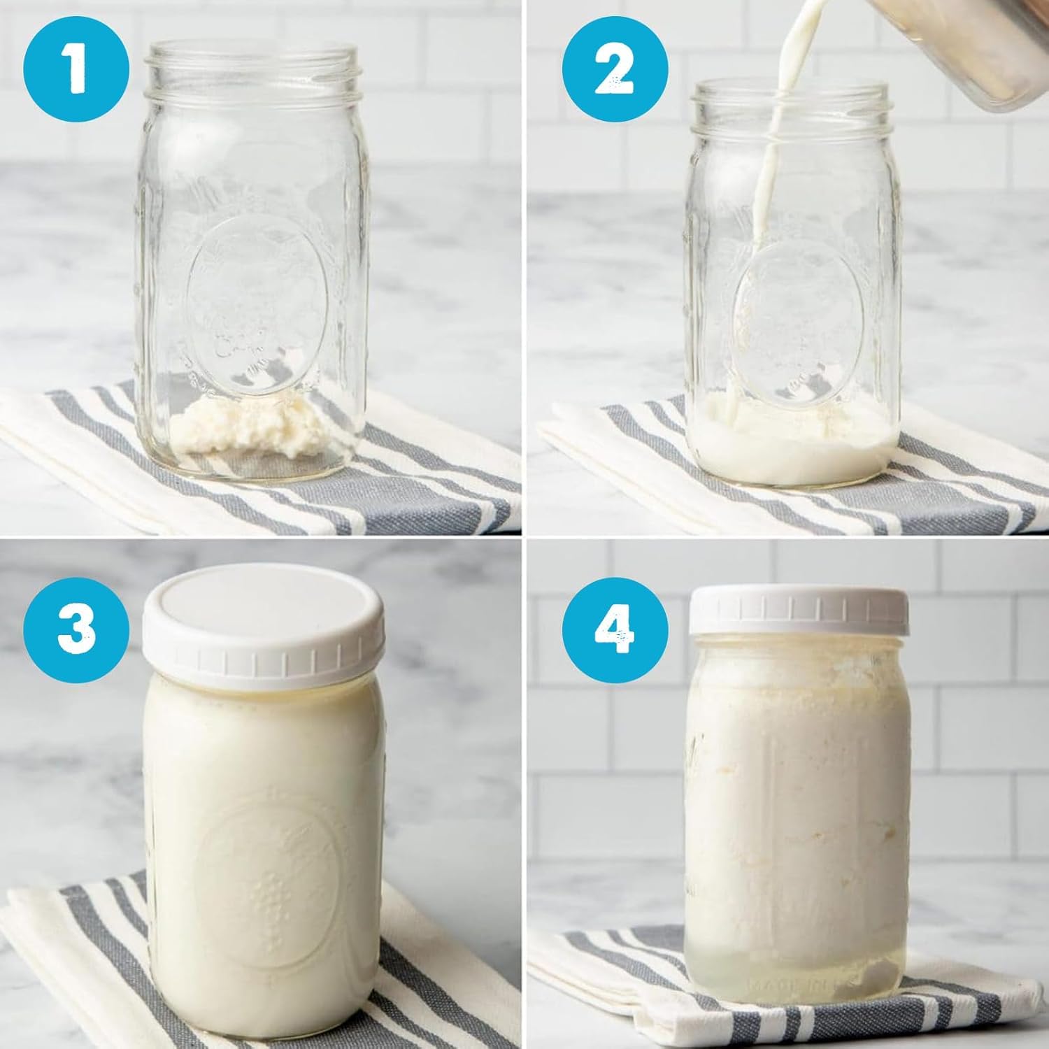 Pack Nódulos 10g Kéfir de Leche + 50g Nódulos Kéfir de Agua – Probióticos Naturales para Fermentar Bebidas Saludables – Fácil de Usar y Reutilizable - OH MY KÉFIR®