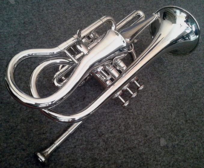 Cornet Echo Devyom à 4 valves : jouez juste dans les graves avec cet instrument rare