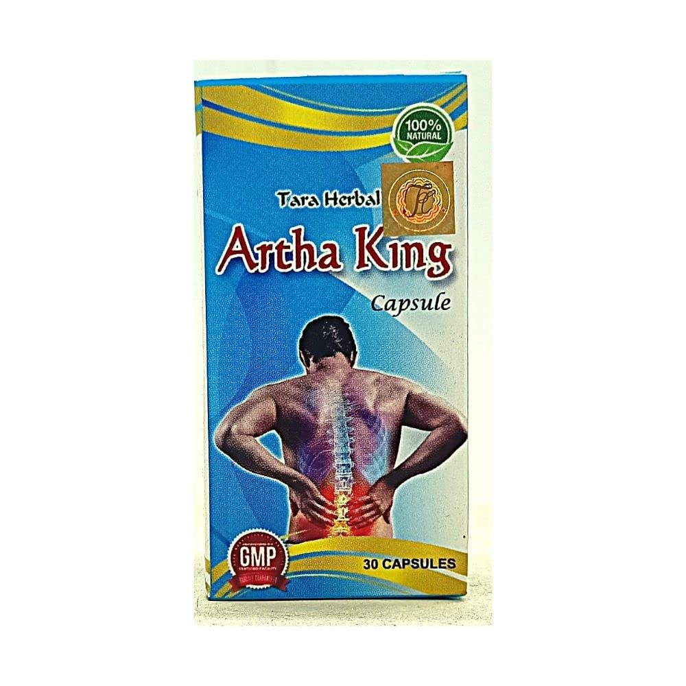 Arthritis Artha King capsule for joint pain low back pain (B09X37Y9GK) Amazon Price History, Amazon Price Tracker