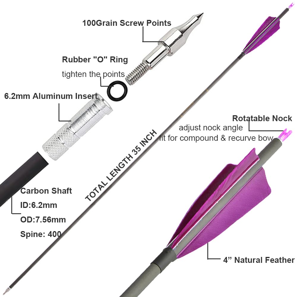 SHARROW 12/24P 35 Pollici Freccia in Carbonio Spine 400 Frecce di Freccia di Tiro al Bersaglio Freccia Carbonio Freccia per Bersaglio Tiro con L'Arco Arco Ricurvo Arco Compound (Viola, 12P)