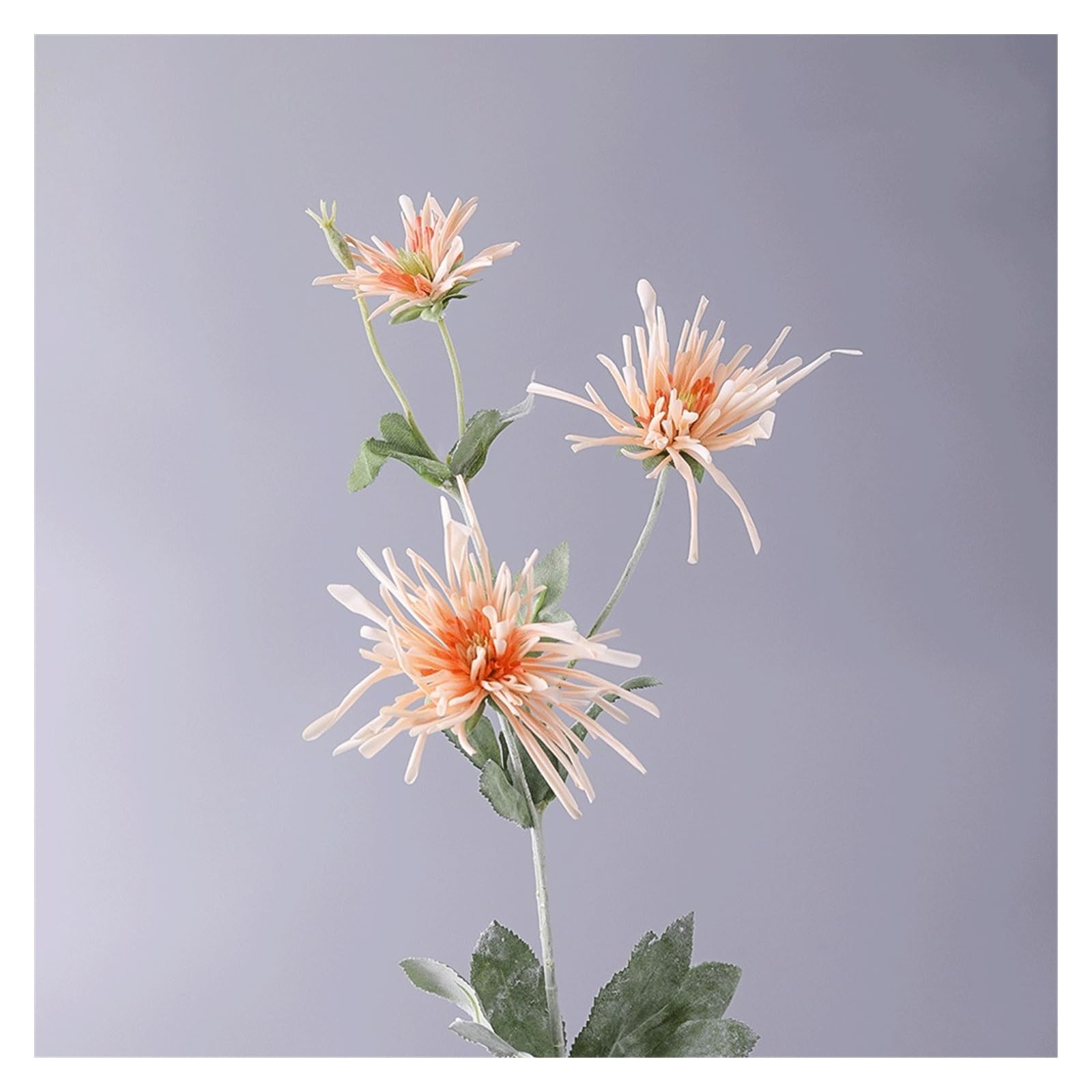 Chrysanthème griffe de crabe fleur simulée sans entretien pour salon