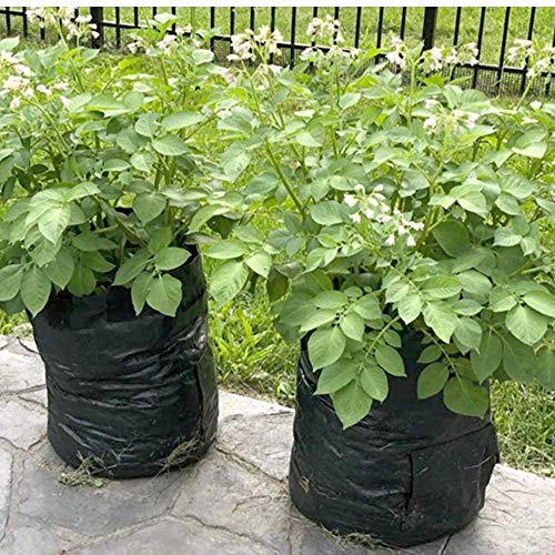 YOQXHY 3 Pack Potato Grow Bags [10 Gallon] Garden Vegetables Planter Bag with Handles and Access Flap for Planting Potato Carrot Onion Taro Radish Peanut, - Thumbnail 7