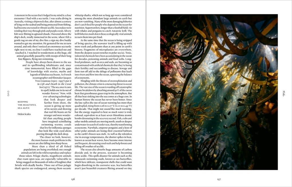 Ark: A visual treasury of Earth's living wonders