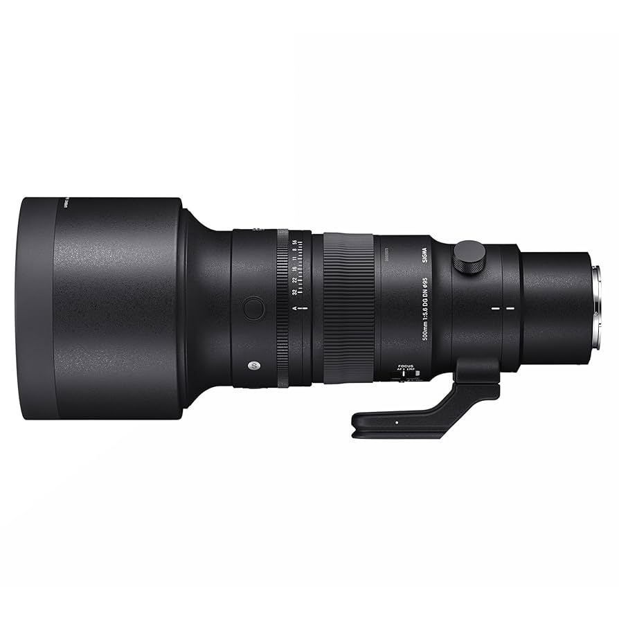 SIGMA シグマ 500mm F5.6 DG DN OS ソニーEマウント Amazon.com : 500mm F5.6 DGDN OS for Sony E Mount : Electronics