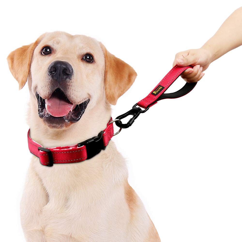 PLUTUS PET Kurze Hundeleine, 25,4 cm, mit gepolstertem Nylongriff, starke Haustier-Leine mit Karabinerhaken, perfekt für große oder mittelgroße Hunde (25,4 cm, rot