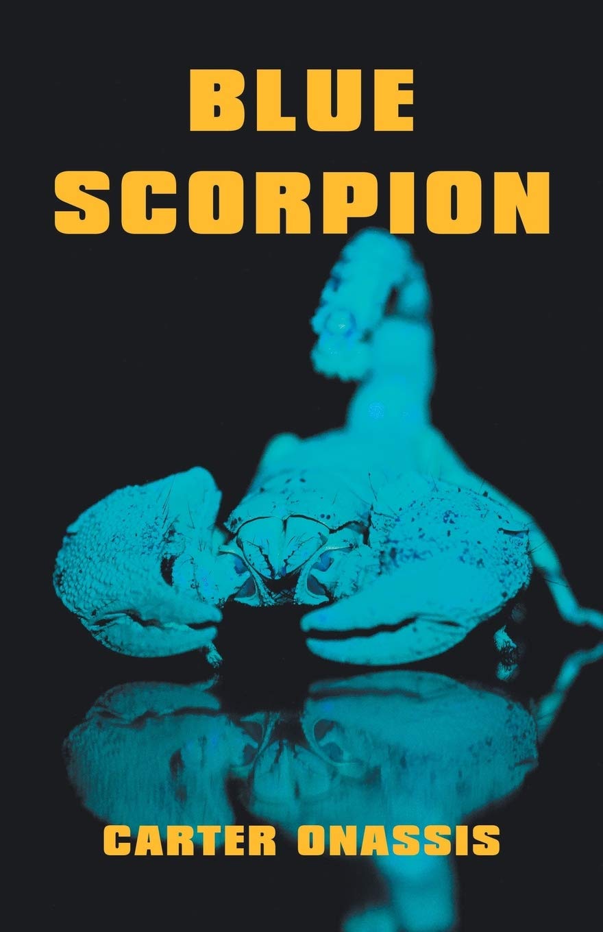 Blue Scorpion Paperback – Import, 3 December 2018