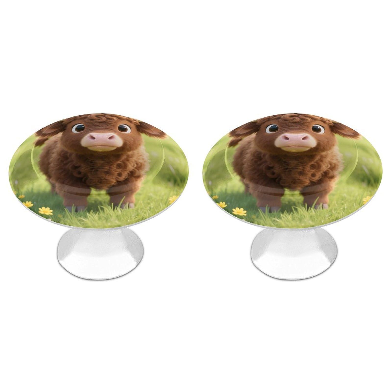 DWVTSLH Cow Cabinet Handles 2 Pack Stainless Steel Kitchen Drawer Pulls with Installation Screws Round Dresser Drawer Knobs 1.1 Inch Modern Cabinet Hardware Door Handles