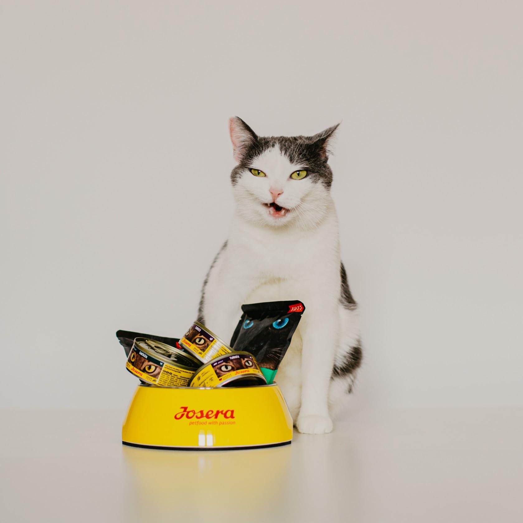JosiCat Tasty Beef (1 x 10 kg), sucha karma dla dorosłych kotów, karma dla kotów, powered by JOSERA, 1 opakowanie