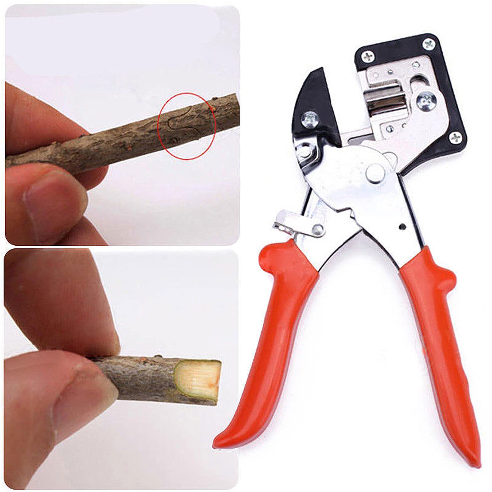 Forbici Innesto Professionale Kit + Forbici da Potatura Bypass+Cesoie Dritte per Alberi da Frutto, Professionale Macchina Innesto per Efficiente Potatura e Innesto per Alberi da Frutto/Pianta/Ramo