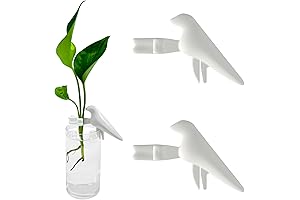 Plant Propagation Buddy: The Ultimate Plant Propagation Solution