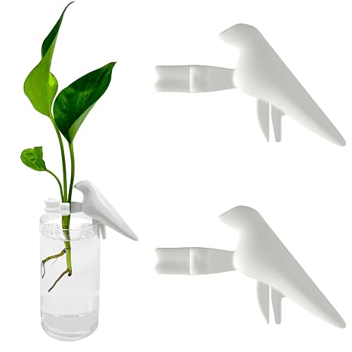 Plant Propagation Station-Plant Support for Cuttings, Shoots, Stems, and Sprouts,