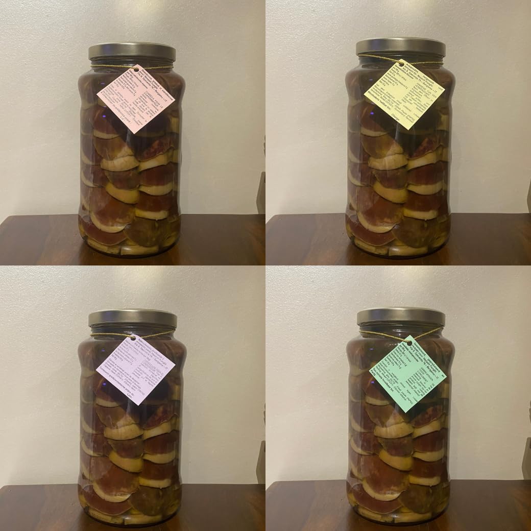 Hongos setas porcini cabeza negra enteros en aceite de oliva de 1600 g