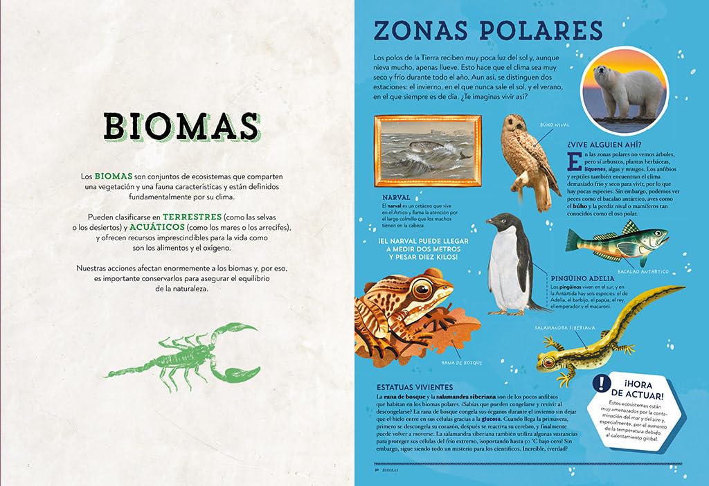 Animales asombrosos: Un recorrido fascinante por la biodiversidad (B Plus)