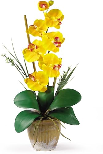 Nearly Natural 1016-GY Phalaenopsis - Arreglo floral de orquídea de seda, amarillo, 9x6x21