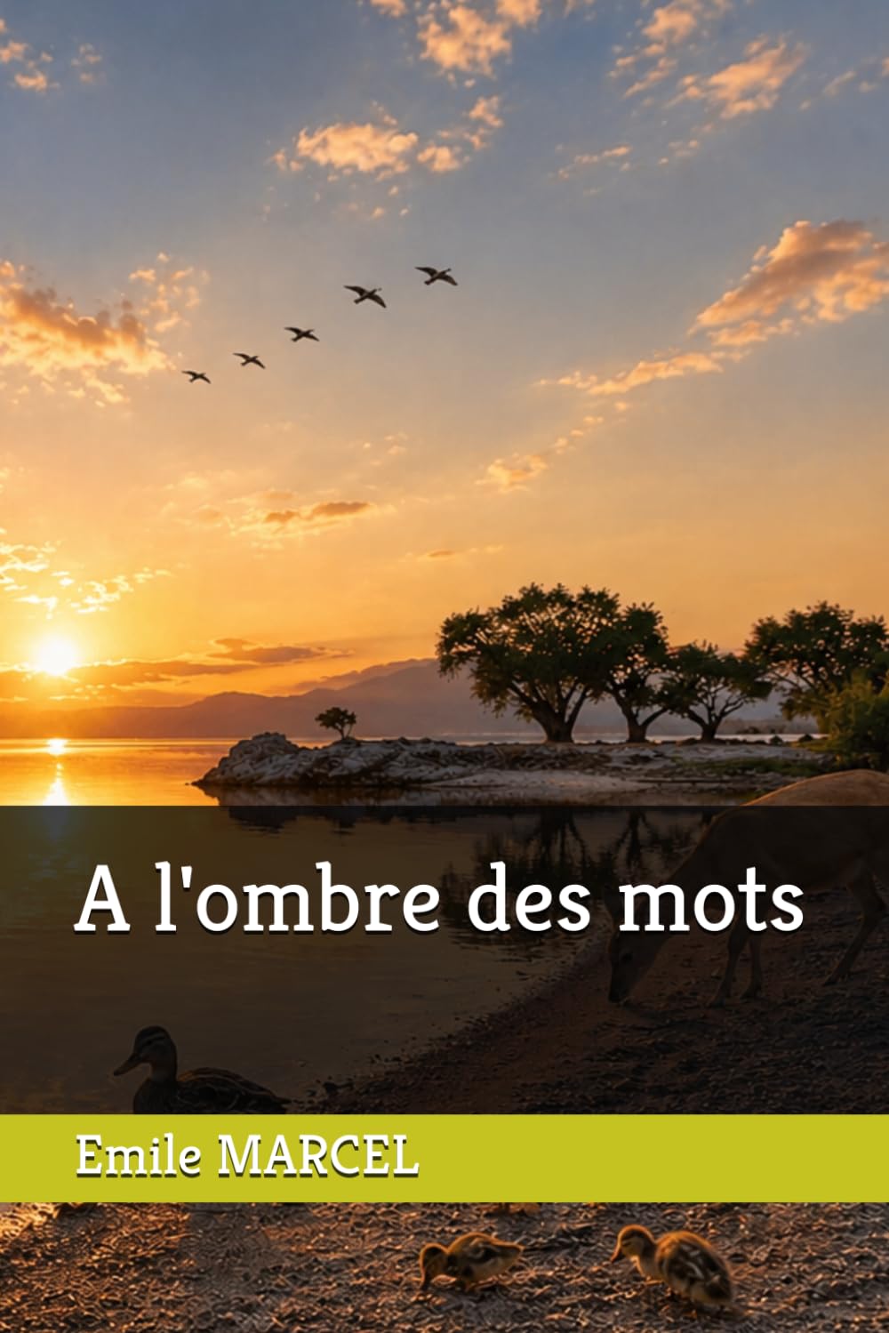 A l'ombre des mots