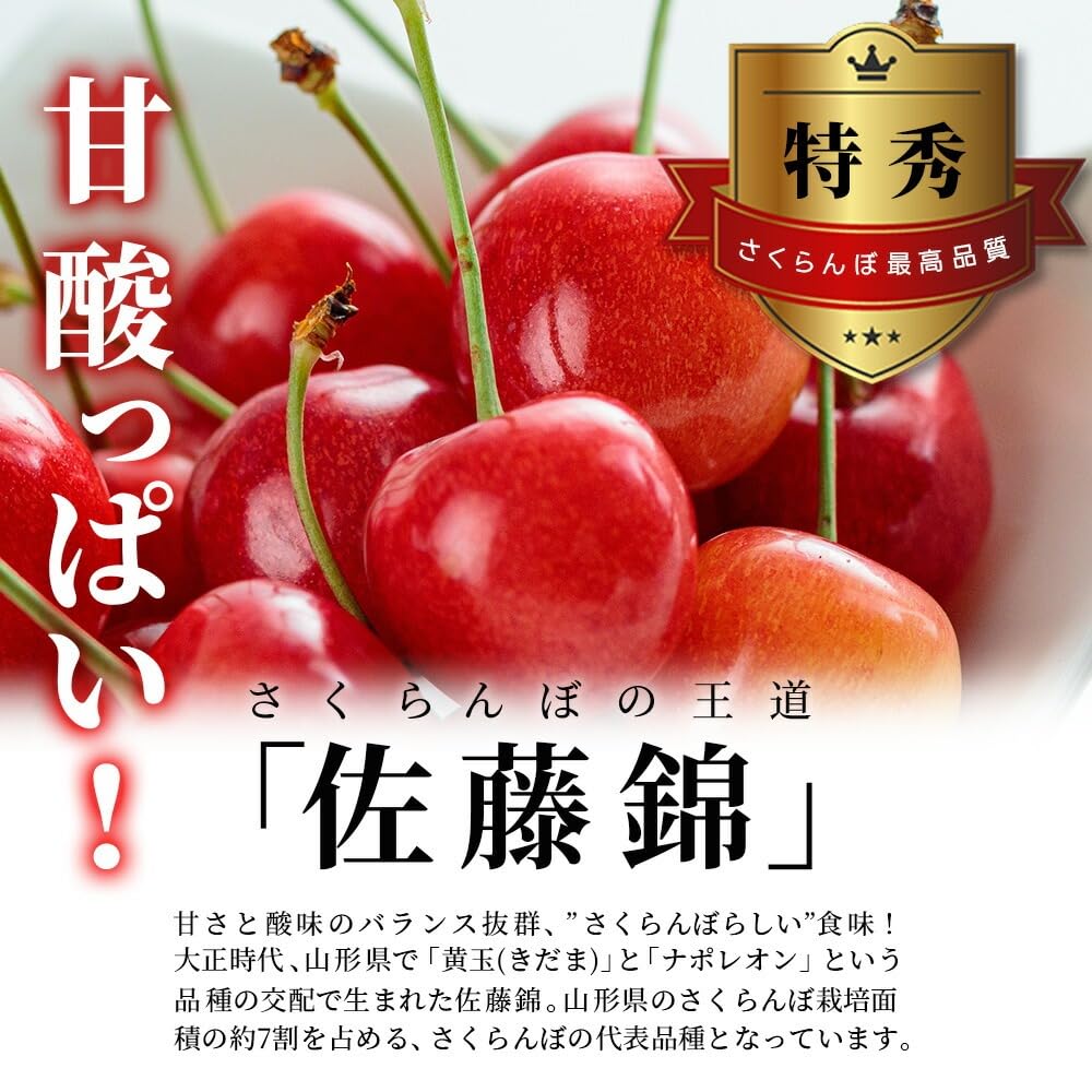 Amazon.co.jp: 山形県産 特秀 2L玉 さくらんぼ佐藤錦 300g入 鏡詰め