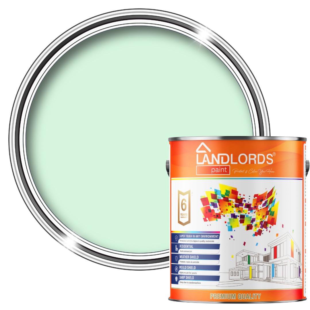 Landlords PaintBarn PaintWeatherproof Protection For WoodFurnitureGates And FencesPistachio White5L from B&Q