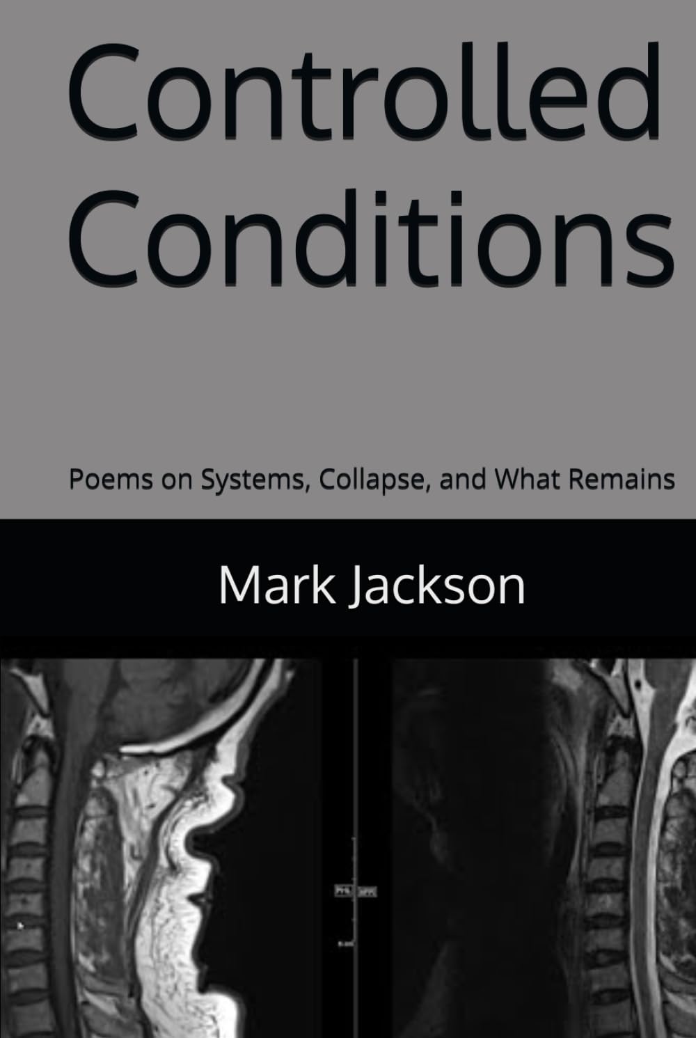 Controlled Conditions: Poems on Systems, Collapse, and What Remains (Poetry)
